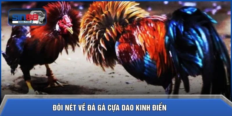 Đôi nét về đá gà cựa dao kinh điển 